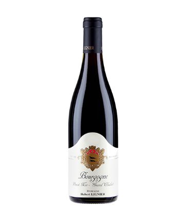 图片 2019 Domaine Hubert Lignier Pinot Noir Grand Chaliot