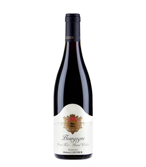 图片 2019 Domaine Hubert Lignier Pinot Noir Grand Chaliot
