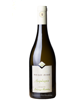 图片 Saumaize-Michelin Pouilly-Fuisse 'Ampelopsis' 2019